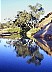 Ein Teich nahe bei Alice Springs. -  Alle Australien Fotos: Laurenz Bobke.